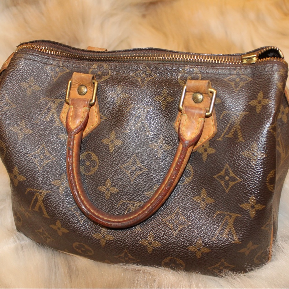 Louis Vuitton Monogram Speedy
